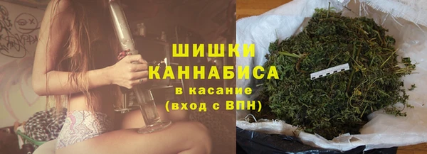 mix Пересвет
