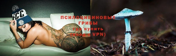 mix Пересвет