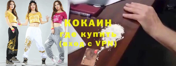 mix Пересвет