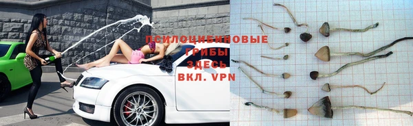 прущая мука Елабуга