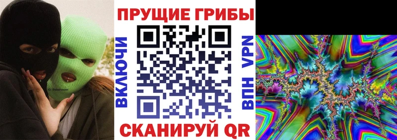 Псилоцибиновые грибы Magic Shrooms  цена наркотик  KRAKEN зеркало  Кунгур 